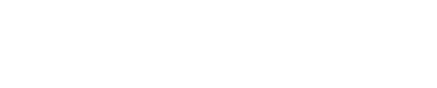 Flash Pay